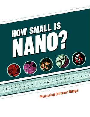 How Small is Nano? de NY Sciencenter Ithaca