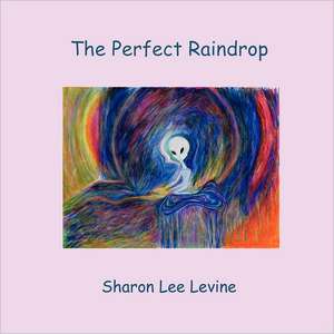 The Perfect Raindrop de Sharon Lee Levine