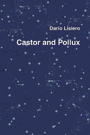 Castor and Pollux de Dario Lisiero