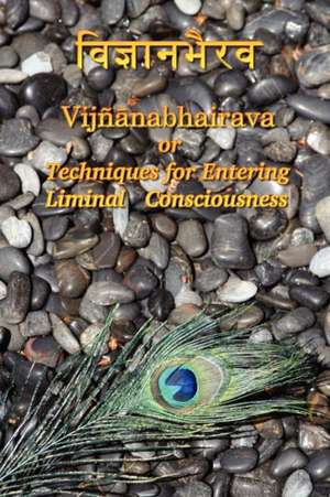 Vijnaanabhairava or Techniques for Entering Liminal Consciousness de Dmitri Semenov