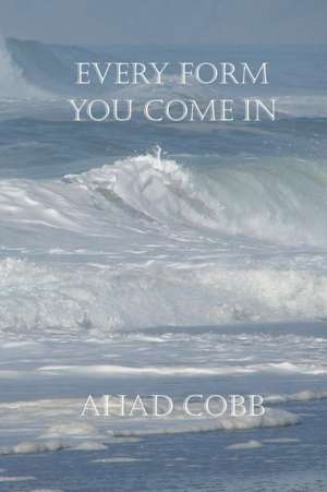 Every Form You Come In de Ahad Cobb