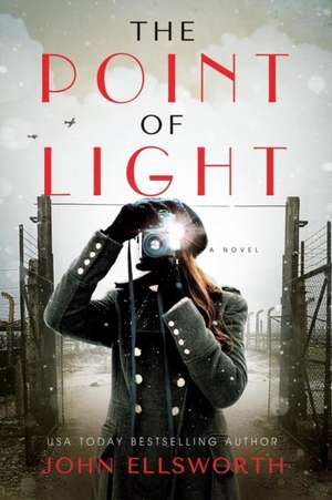 The Point of Light de John Ellsworth