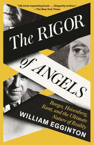 The Rigor of Angels de William Egginton