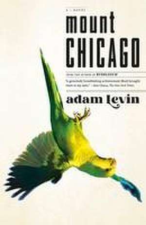 Mount Chicago de Adam Levin