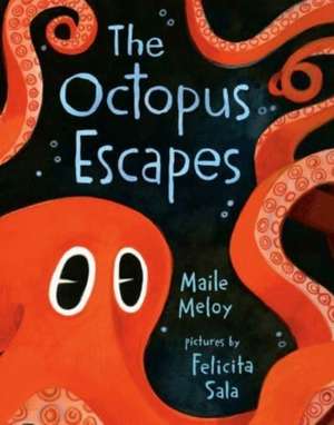 Meloy, M: Octopus Escapes