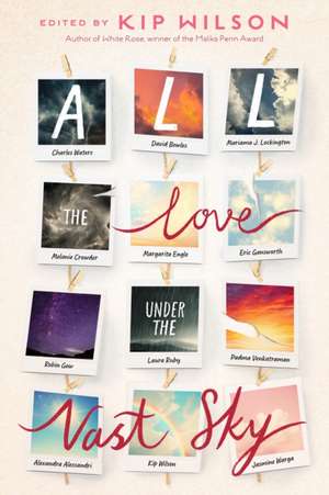 All the Love Under the Vast Sky de Alexandra Alessandri