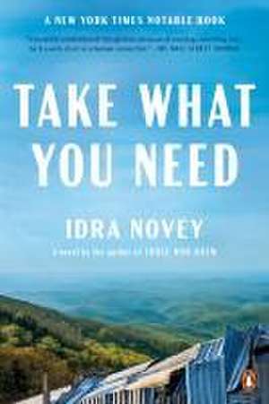 Take What You Need de Idra Novey