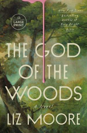 The God of the Woods de Liz Moore