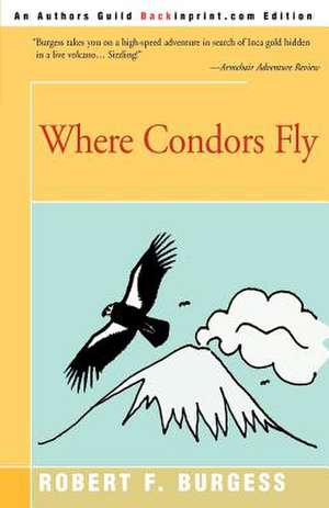 Where Condors Fly de Robert F. Burgess