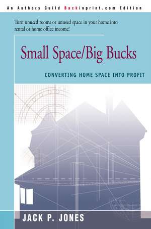 Small Space/Big Bucks de Jack Payne Jones