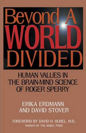 Beyond a World Divided de Erika Erdmann