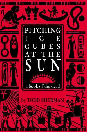 Pitching Ice Cubes at the Sun de Todd Sherman