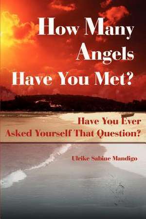 How Many Angels Have You Met? de Ulrike Sabine Mandigo