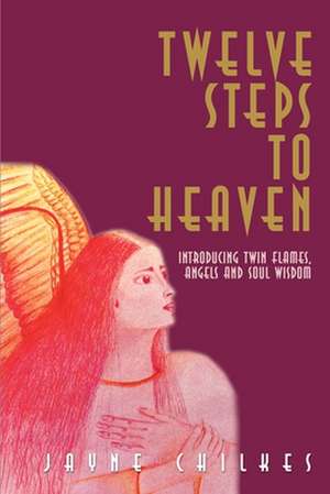 Twelve Steps to Heaven de Jayne Chilkes