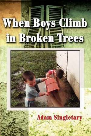 When Boys Climb in Broken Trees de Adam L. Singletary