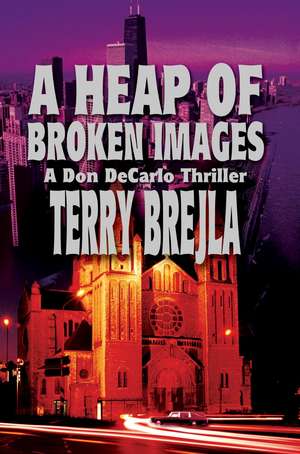 A Heap of Broken Images de Terry Brejla