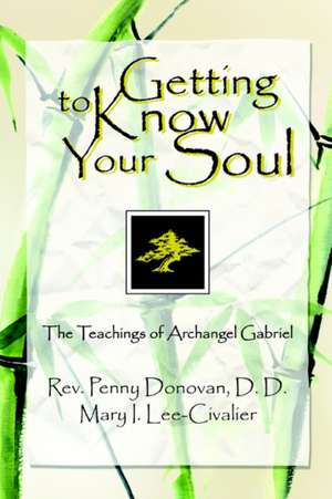 Getting to Know Your Soul de Rev Penny Donovan DD