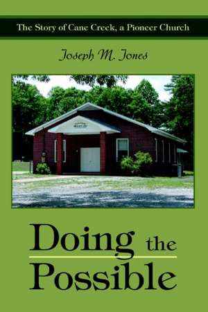 Doing the Possible de Joseph M. Jones