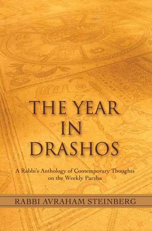 The Year in Drashos de Rabbi Avraham Steinberg