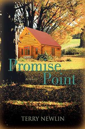 Promise Point de Terry Newlin