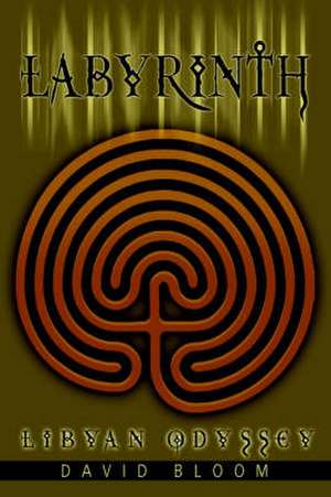 Labyrinth de David Bloom