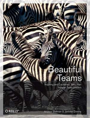 Beautiful Teams de Andrew Stellman