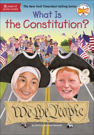What Is the Constitution? de Patricia Brennan Demuth
