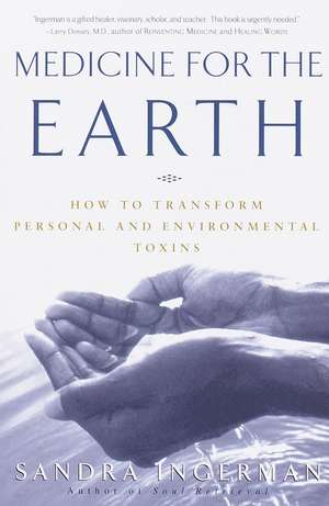 Medicine for the Earth: How to Transform Personal and Environmental Toxins de Sandra Ingerman