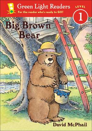 Big Brown Bear de D. McPhail