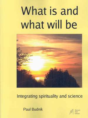 What is and what will be de Paul Budnik