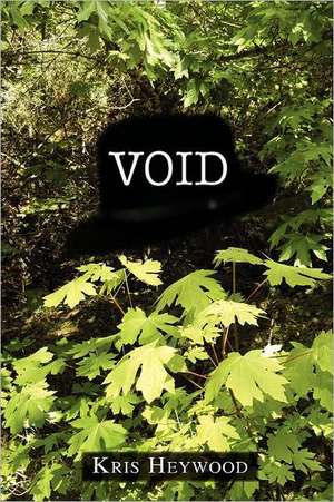 Void: Truth and Consequences in a Family's Story de Kris Heywood