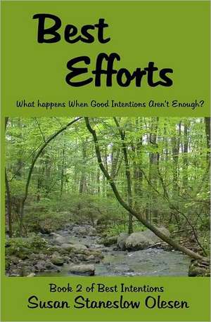 Best Efforts: What Happens When Good Intentions Aren't Enough? de Susan Staneslow Olesen