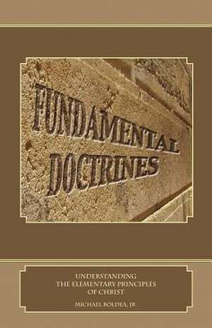 Fundamental Doctrines de Michael Boldea Jr