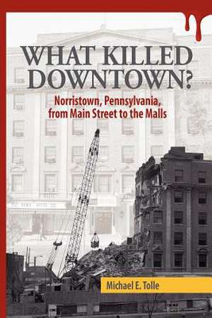 What Killed Downtown? de Michael E. Tolle