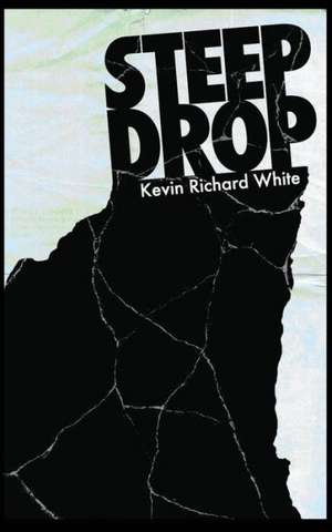 Steep Drop: The Moral Saga of Joe Blandenberg de Kevin Richard White