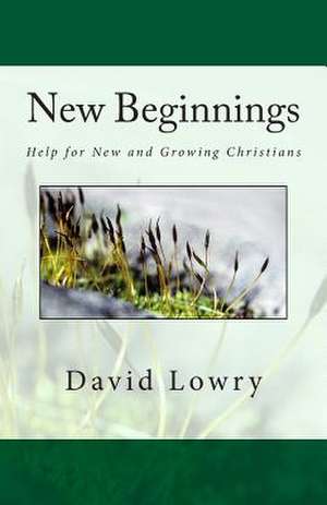 New Beginnings de David Lowry