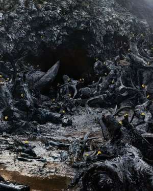 Simen Johan: Until the Kingdom Comes de Simen Johan