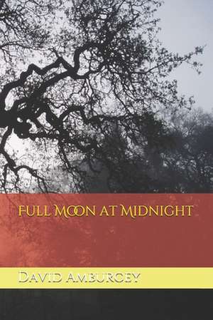 Full Moon at Midnight de David Amburgey