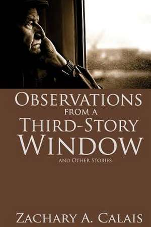 Observations from a Third-Story Window de Zachary a. Calais