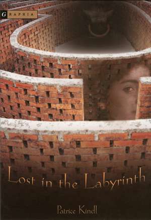 Lost in the Labyrinth de Patrice Kindl