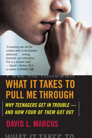 What It Takes To Pull Me Through: Why Teenagers Get in Trouble and How Four of Them Got Out de David L. Marcus