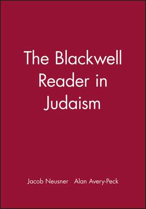Judaism de Neusner