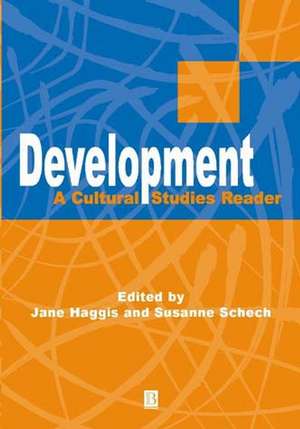 Development – A Cultural Studies Reader de S Schech