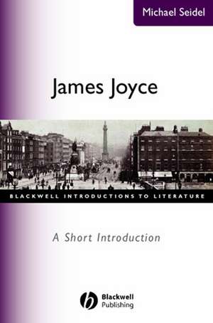 James Joyce: A Short Introduction de M Seidel