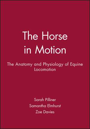Horse Motion de Sarah Pilliner