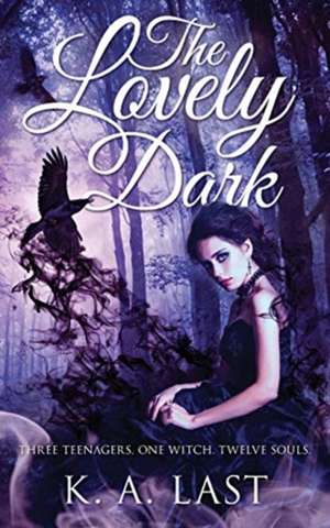 The Lovely Dark de K. A. Last