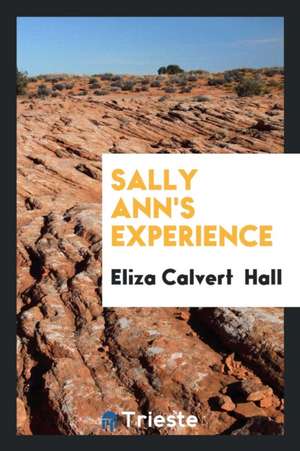 Sally Ann's Experience de Eliza Calvert Hall