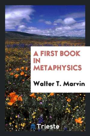 A First Book in Metaphysics de Walter T. Marvin