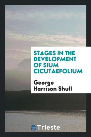 Stages in the Development of Sium Cicutaefolium de George Harrison Shull