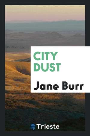 City Dust de Jane Burr